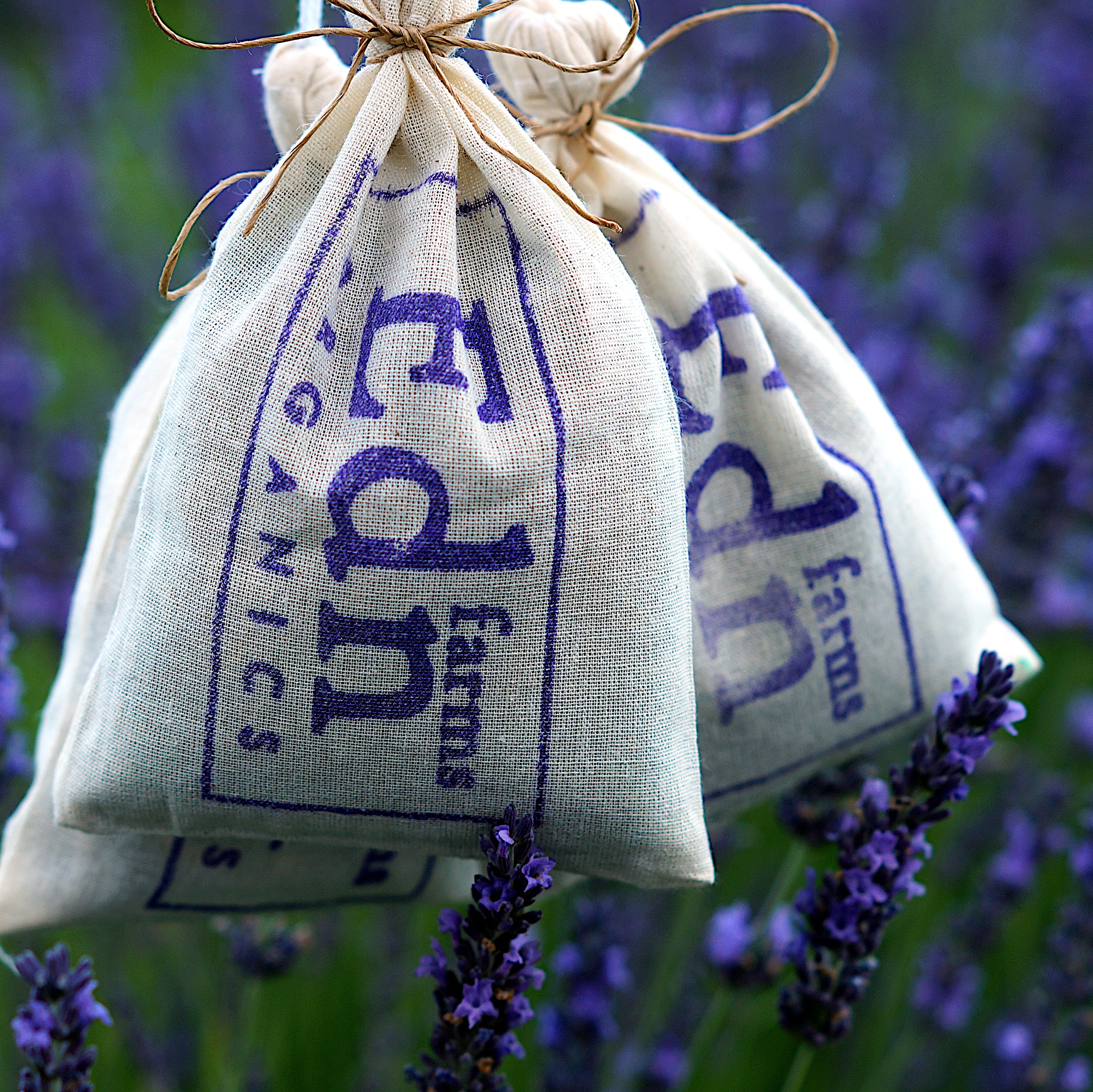 LAVENDER SACHETS -3 PACK