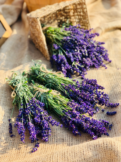 EDNBERRY - BLUEBERRY LAVENDER 32oz KIT